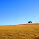vanem9475.lens-Collect-1096