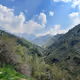 Nature love