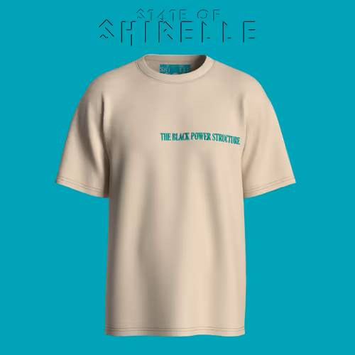 BLACK POWER STRUCTURE