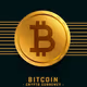 Bitcoin Network