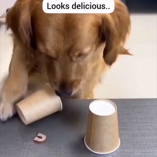 junjun01738796.lens-Collect-415