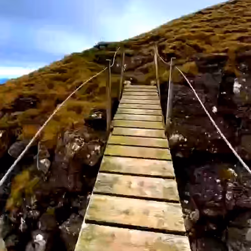 indus.lens-Collect-755