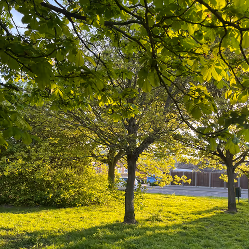 zospours.lens-Collect-2728