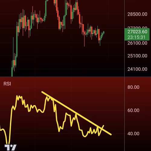 hualala.lens-Collect-1283