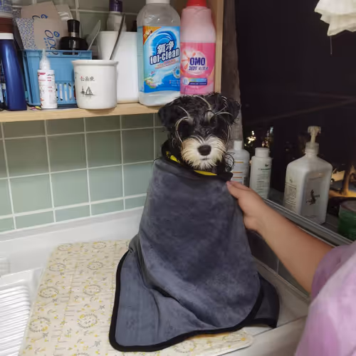 zksyncc.lens-Collect-80