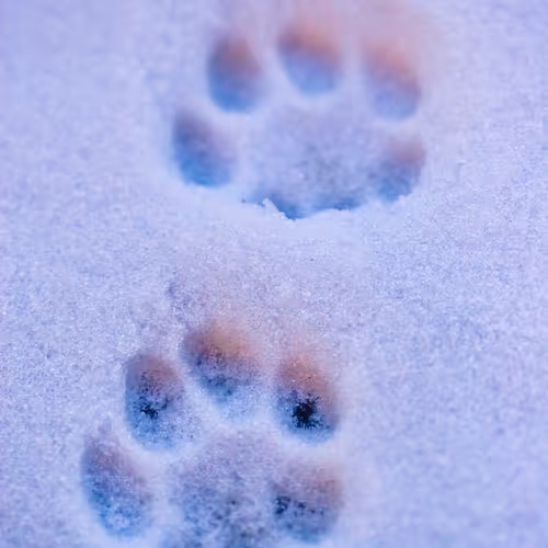 gfdgdfgdfg.lens-Collect-153