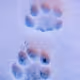 gfdgdfgdfg.lens-Collect-153