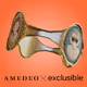 AMEDEO x Exclusible