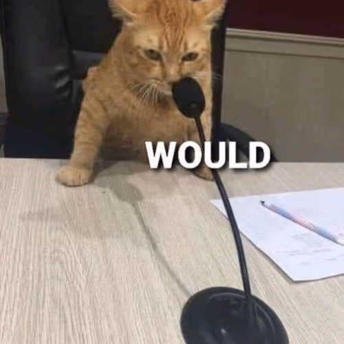 would cat