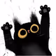 catone