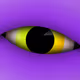 MOON - D0fbV3AQEq