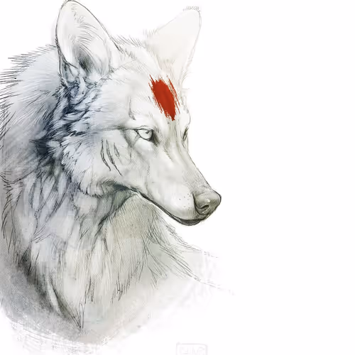 volk