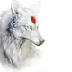 volk