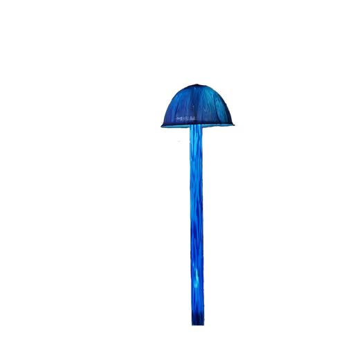 Shroom