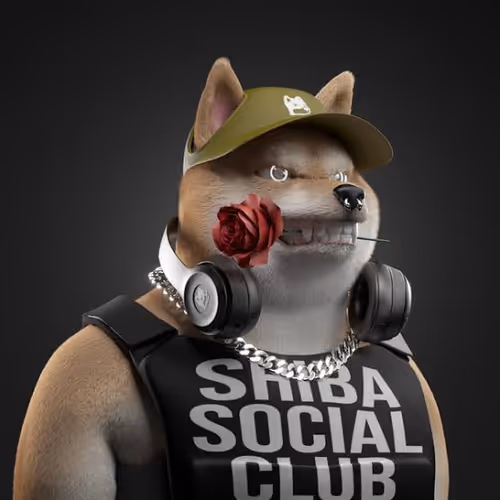 Shiba Rose