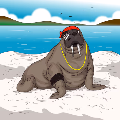 Walrus