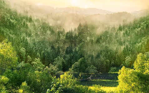 0xd4e6dd6fa045fe561671c18d59a682117d2eafae