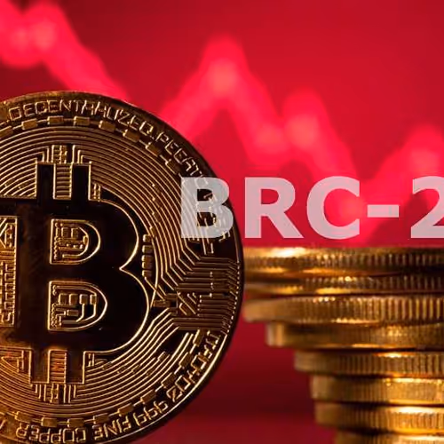 brainless.lens-Collect-1159