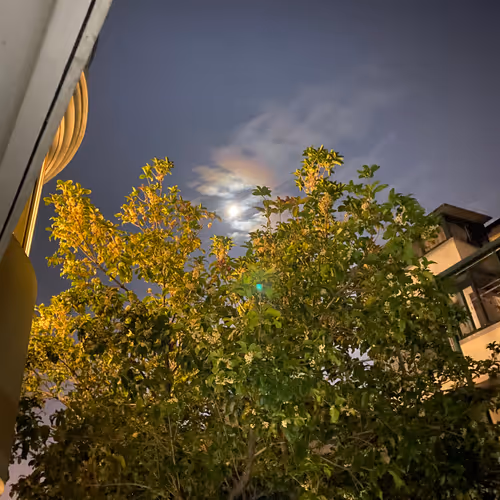 akxakxll.lens-Collect-222