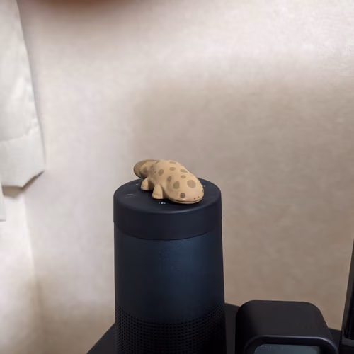 q