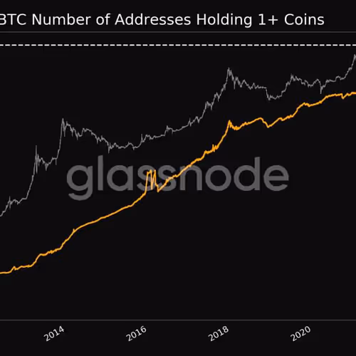 undesputed.lens-Collect-423