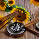 BTC_chopsticks and sunflowers