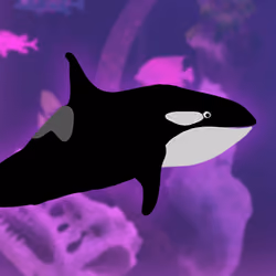 The Toki