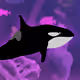117748