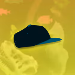 The Backwards Cap