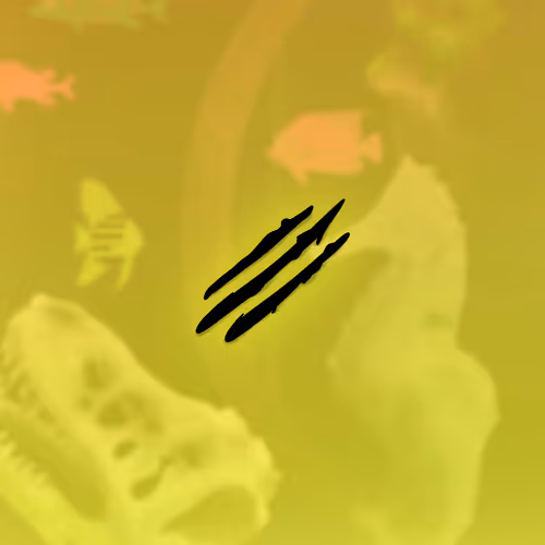 Feeshes Airdrops