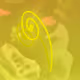 115687