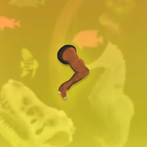 Feeshes Airdrops