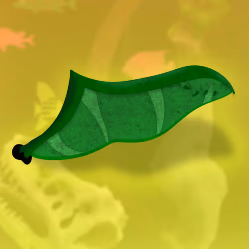 Feeshes Airdrops