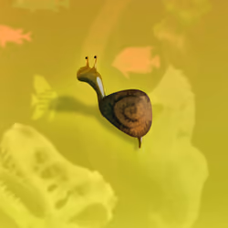 The Snail