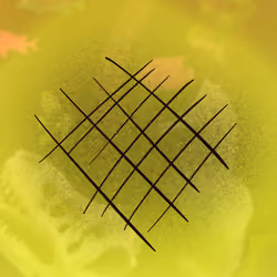 The Grilled Markings
