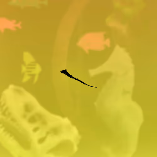 Feeshes Airdrops