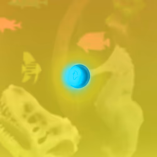 Feeshes Airdrops