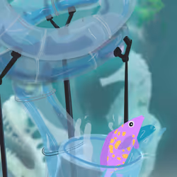 The Barracuda Blast