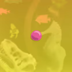 The Bubble Gum Bubble