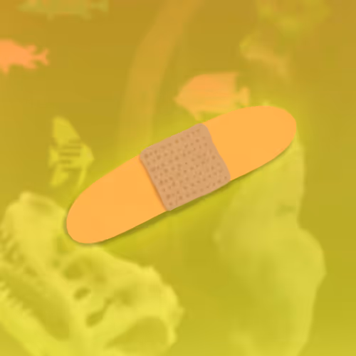 Feeshes Airdrops
