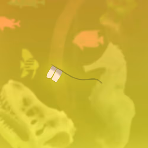 Feeshes Airdrops