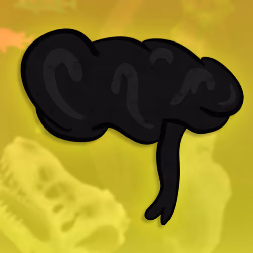 Feeshes Airdrops