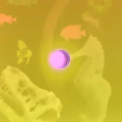 The Pink Bulb