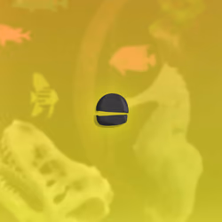 The Suspicious Eyes