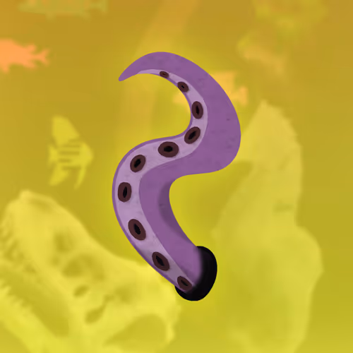 Feeshes Airdrops