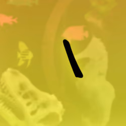 The Surprised Eyebrow
