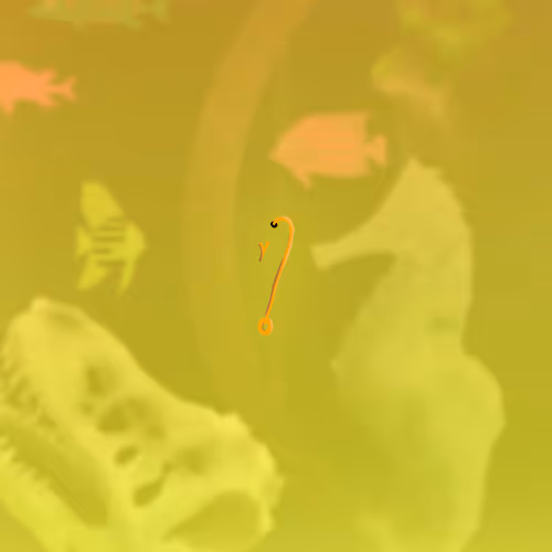 Feeshes Airdrops