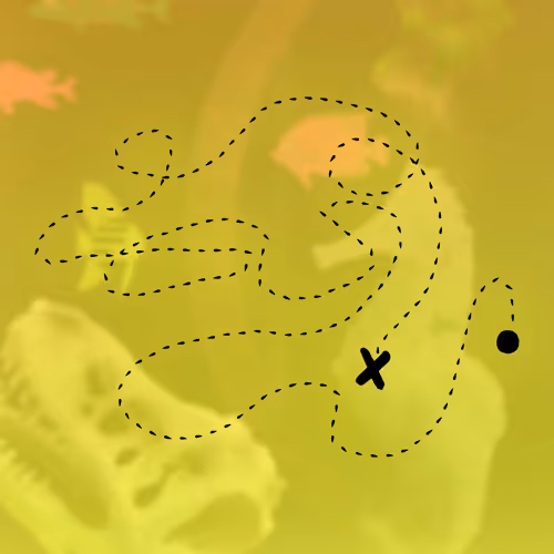 Feeshes Airdrops