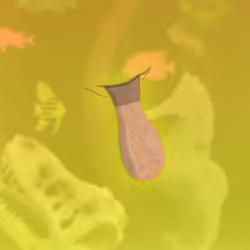 The Stick