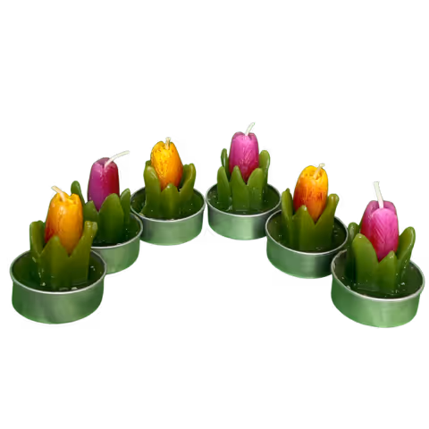 Tulipany